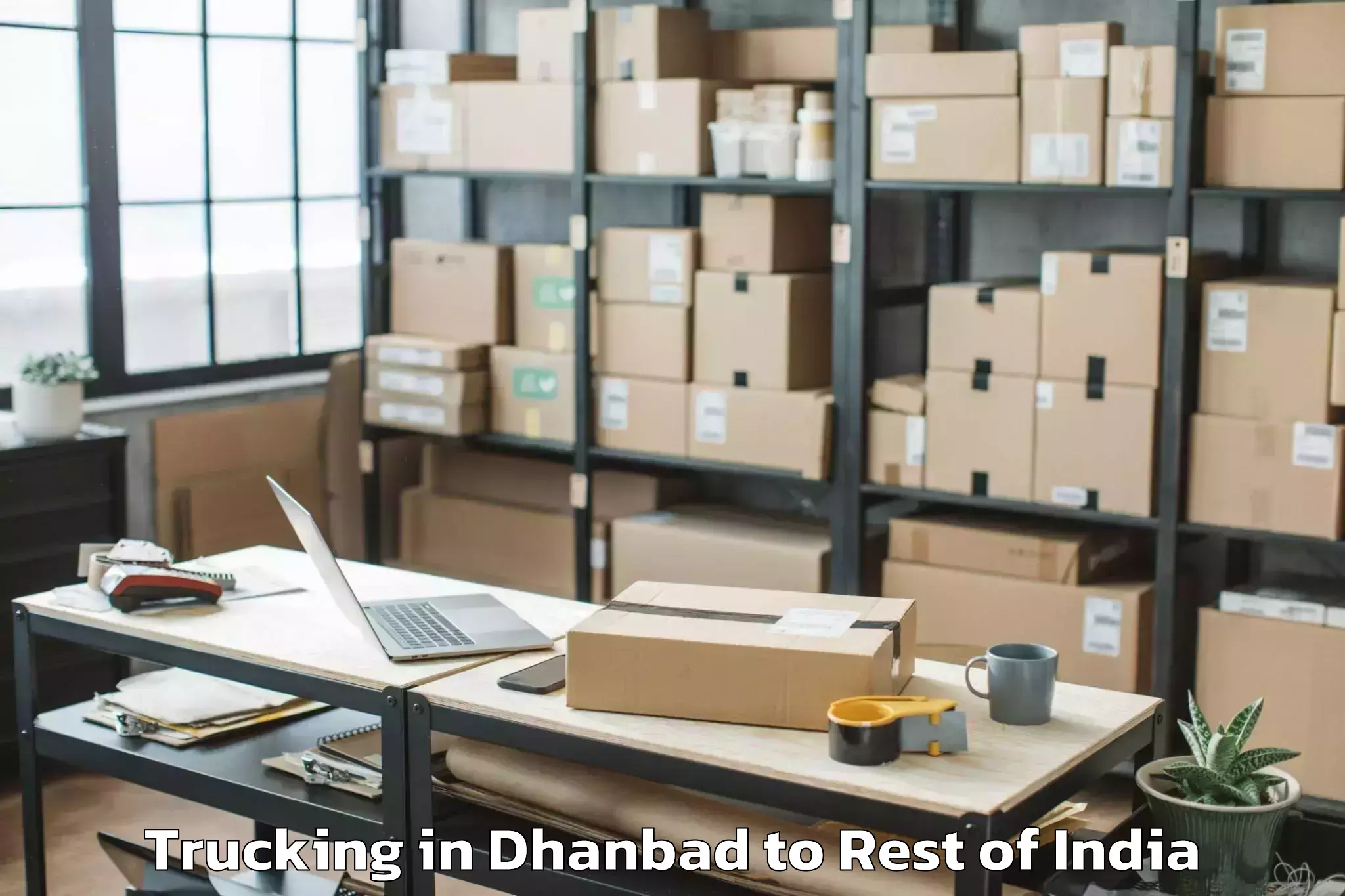 Affordable Dhanbad to Kundarki Trucking